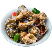 Guaranteed Quality Proper Price Frozen Seafood 360g Conch Spicy Conch